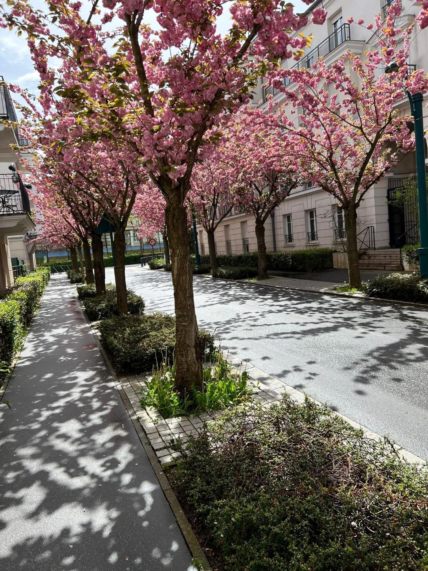 Sweet Appartement Disneyland Paris Parking 300M Station Val D'Europe Chessy  Buitenkant foto